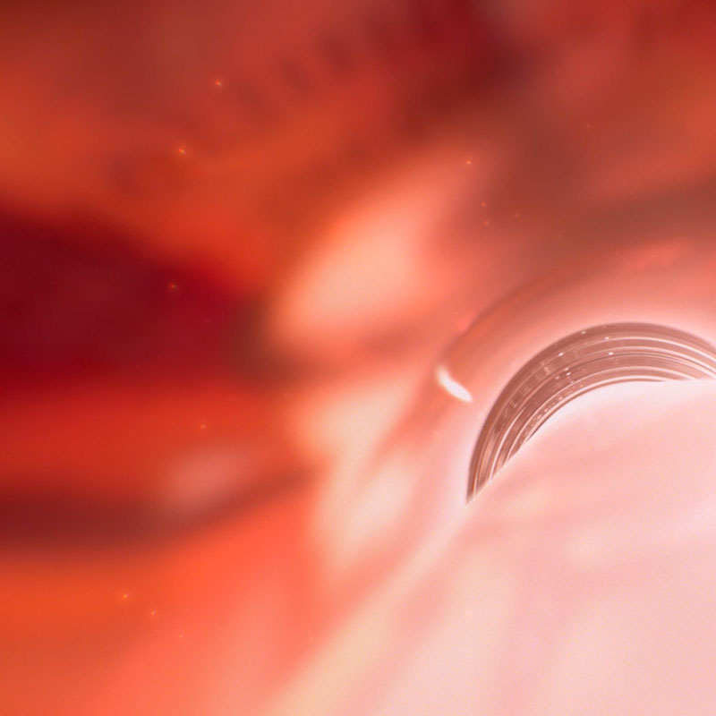 CLARINS – Mission Perfection